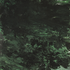 Avatar for perylenegreen
