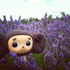 Avatar for lilpluskwa