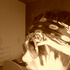 Avatar for LudoRock