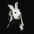 Avatar for injection__