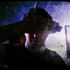 Avatar for total-freedom