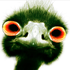 Avatar for zundt
