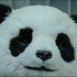 Avatar for gwiezdnewojny