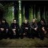 Avatar for No Hawaii