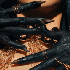 Avatar for Enesgrights