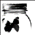 Avatar di mad_ted