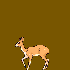 Avatar for OnionDatabase