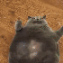 Avatar for gracicispizza