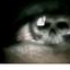 Avatar di NotLikeYou