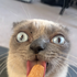 Avatar für TacoWacoFella
