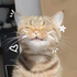 Avatar for darlingivyy