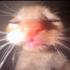 Avatar for ikuaxy
