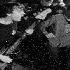 Avatar for oakgr0ve