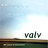 Avatar for Valv