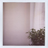 Аватар для lostpaperbird