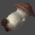 Avatar for fugitivus