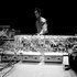 Avatar for Steve Reich