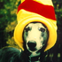 Avatar de myTrousers