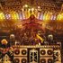 Avatar for David Lee Roth