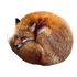 Avatar for bandersnvtch