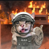 Avatar für STRX_Elyx