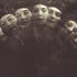 Avatar for DidiAndGogo