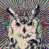 Avatar für Noiseguy