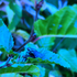 Avatar for zbun_35652