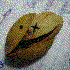 Avatar for jose-carlos