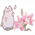 Avatar for miau_miau222