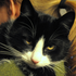 Avatar for Karolyna88