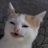 Avatar for Millymays