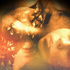 Avatar for sujeii