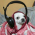Avatar for satsukimeh