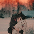 Avatar for stxrryboi