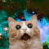 Avatar di TheReda