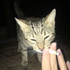 kevlarcupid için avatar