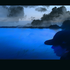 Avatar for RANK_R