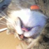 Avatar for 1ndieRock