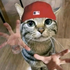 Avatar for x4v13rxd