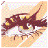 Avatar for souloff