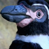 Avatar di goodgoodgood