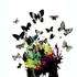 Avatar for krili8
