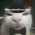 Avatar for schwampfkraut