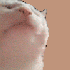 Avatar for Kag_
