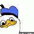 Avatar for darkbr