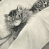 Avatar for Matterialism