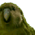 Avatar för La_martire