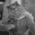 Avatar for bearfishing90