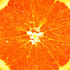Avatar for prazdnik